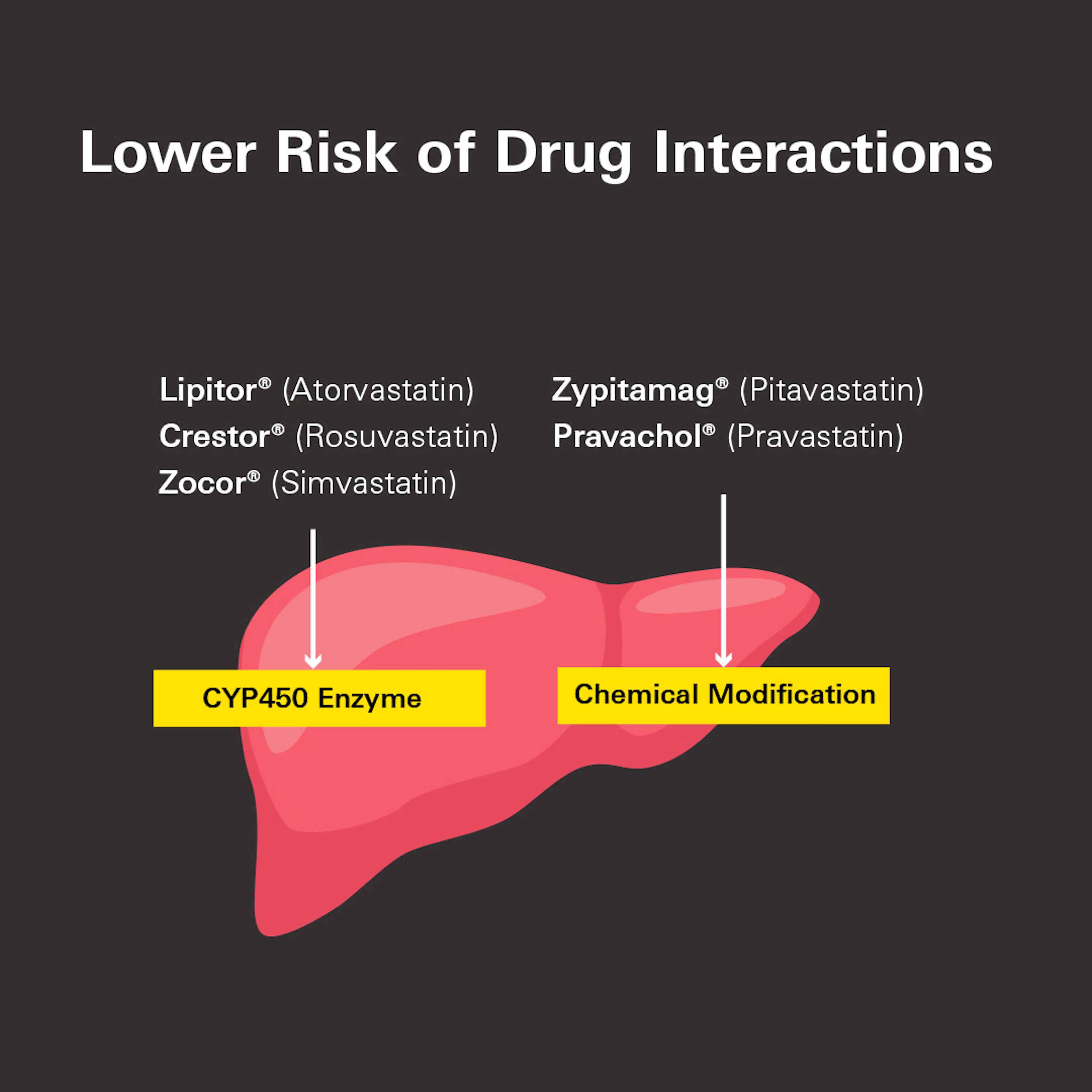Zyp Interactions