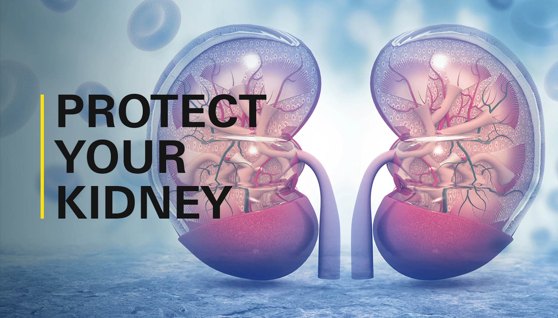 Protect Your Kidney