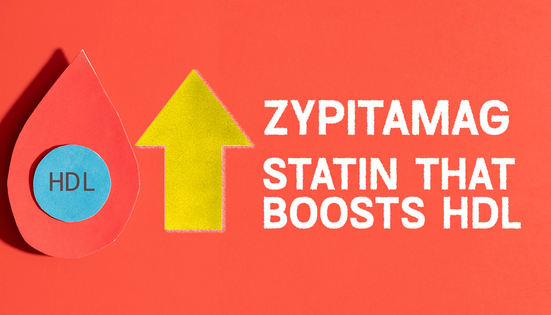 Zyp HDL
