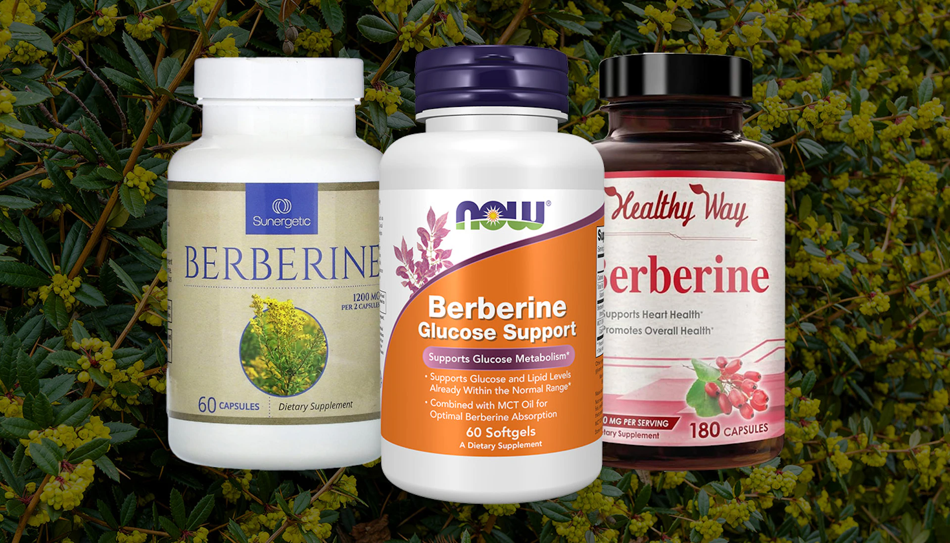Berberine