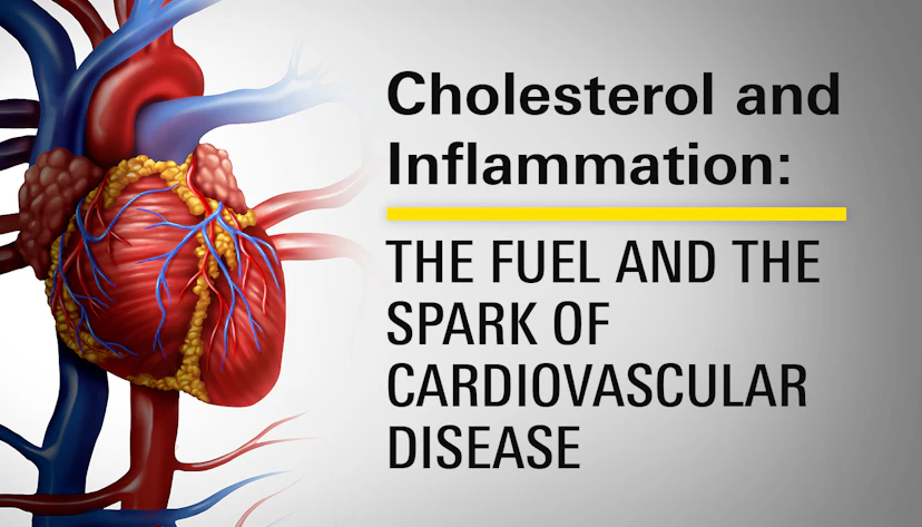 Cholesterol N Inflammation