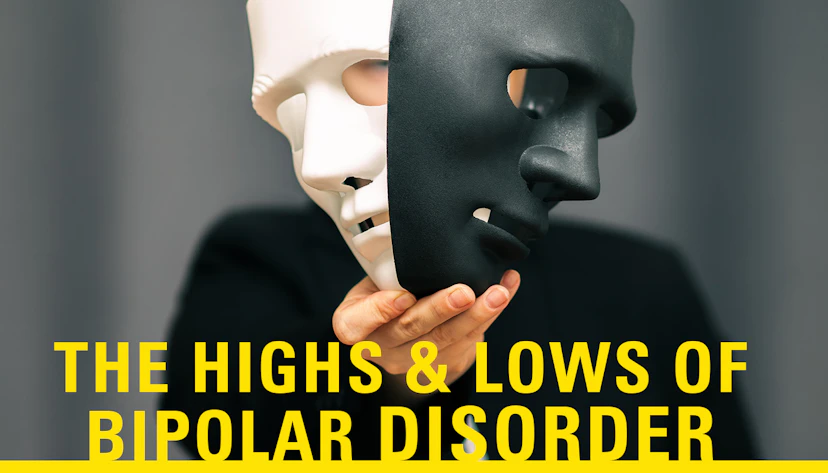 Bl Bipolar Hero