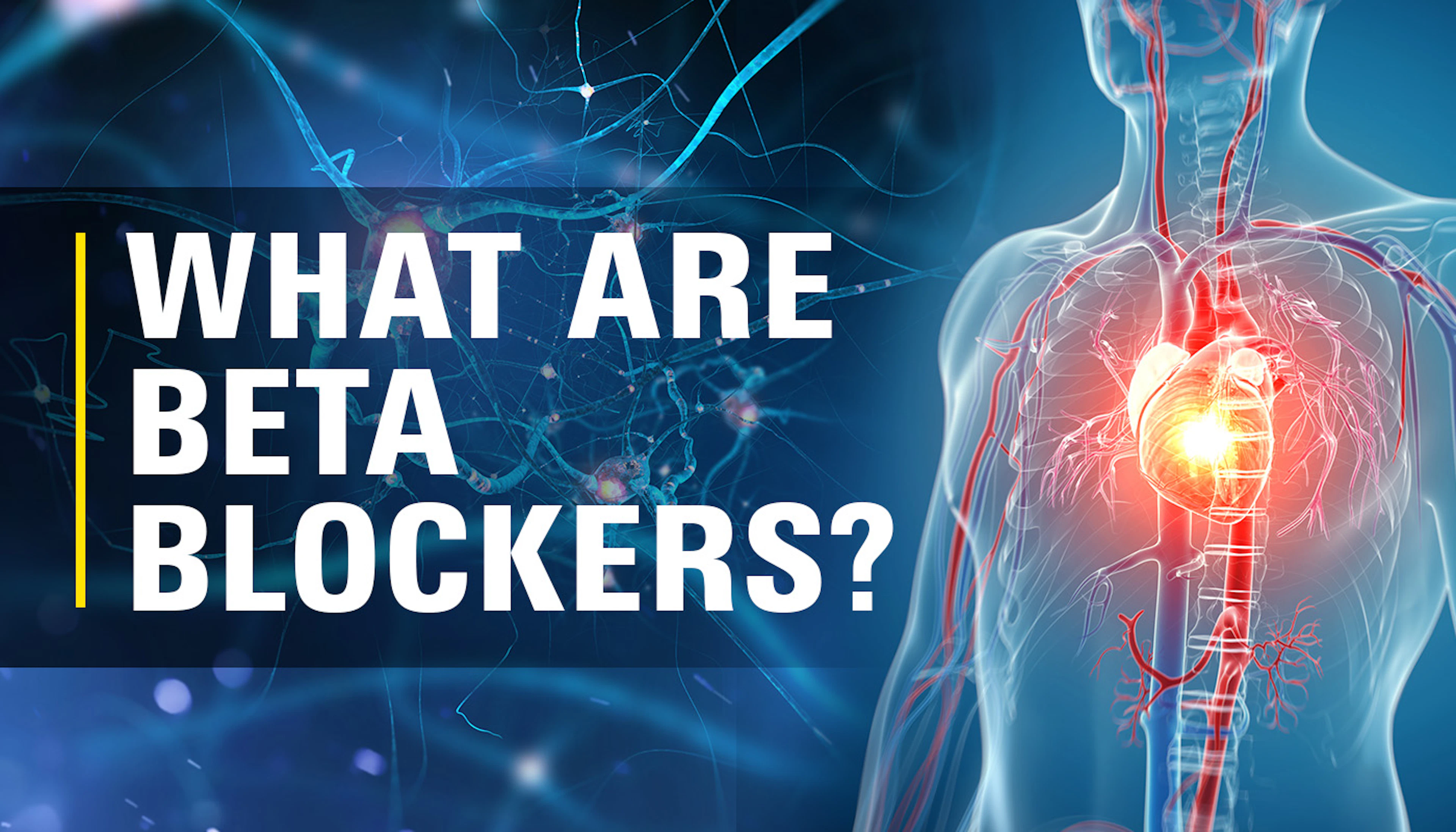 Bl Beta Blockers Hero