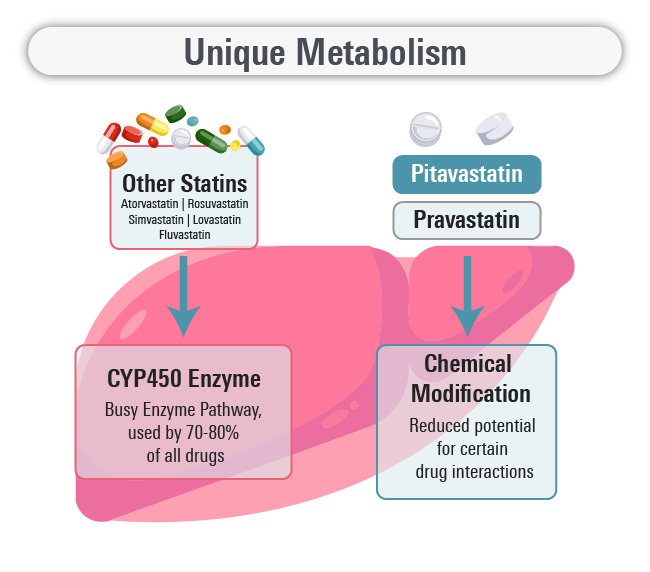 Pitavastatin Reduced Potential for Drug Interactions Compared to Other Statins