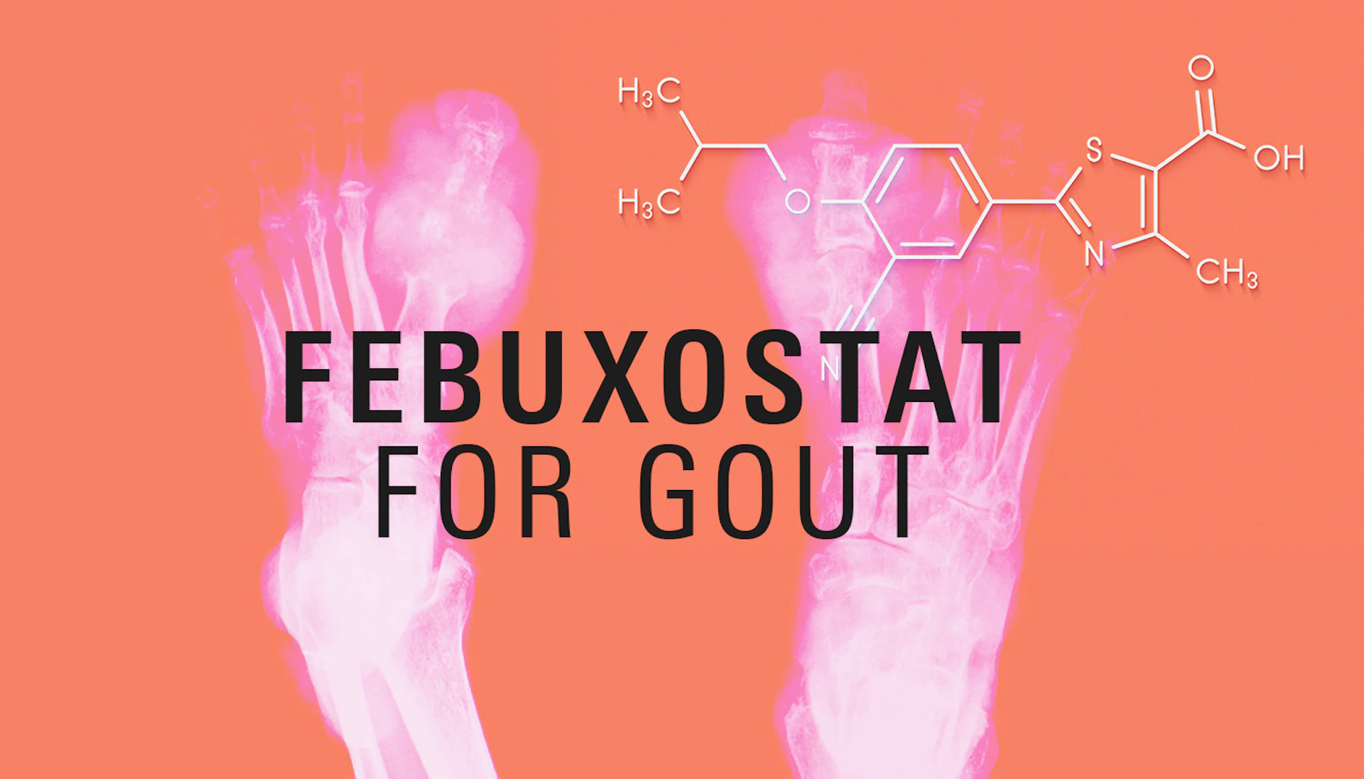 Bl Febuxostat Hero