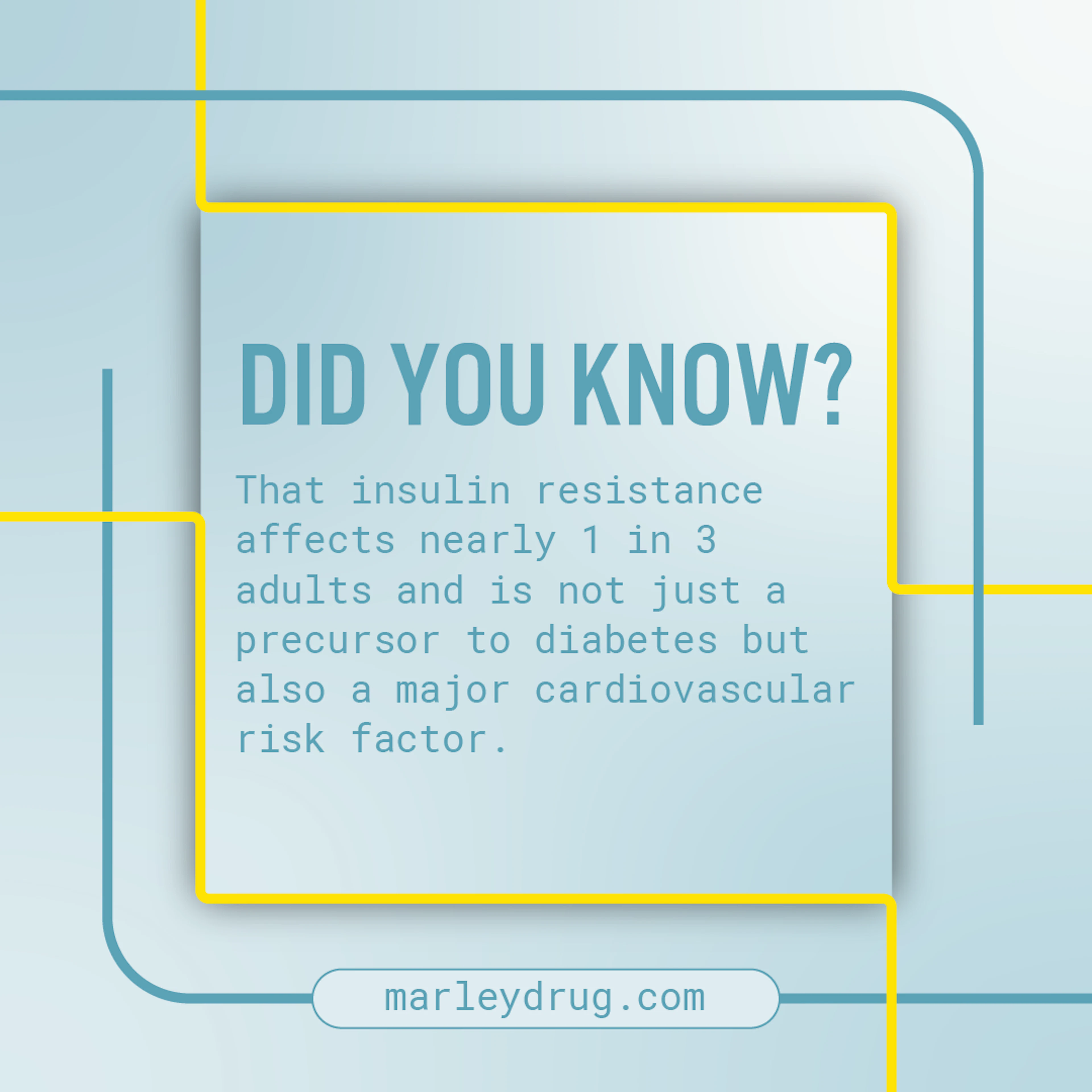 Did You Know Group 1 1