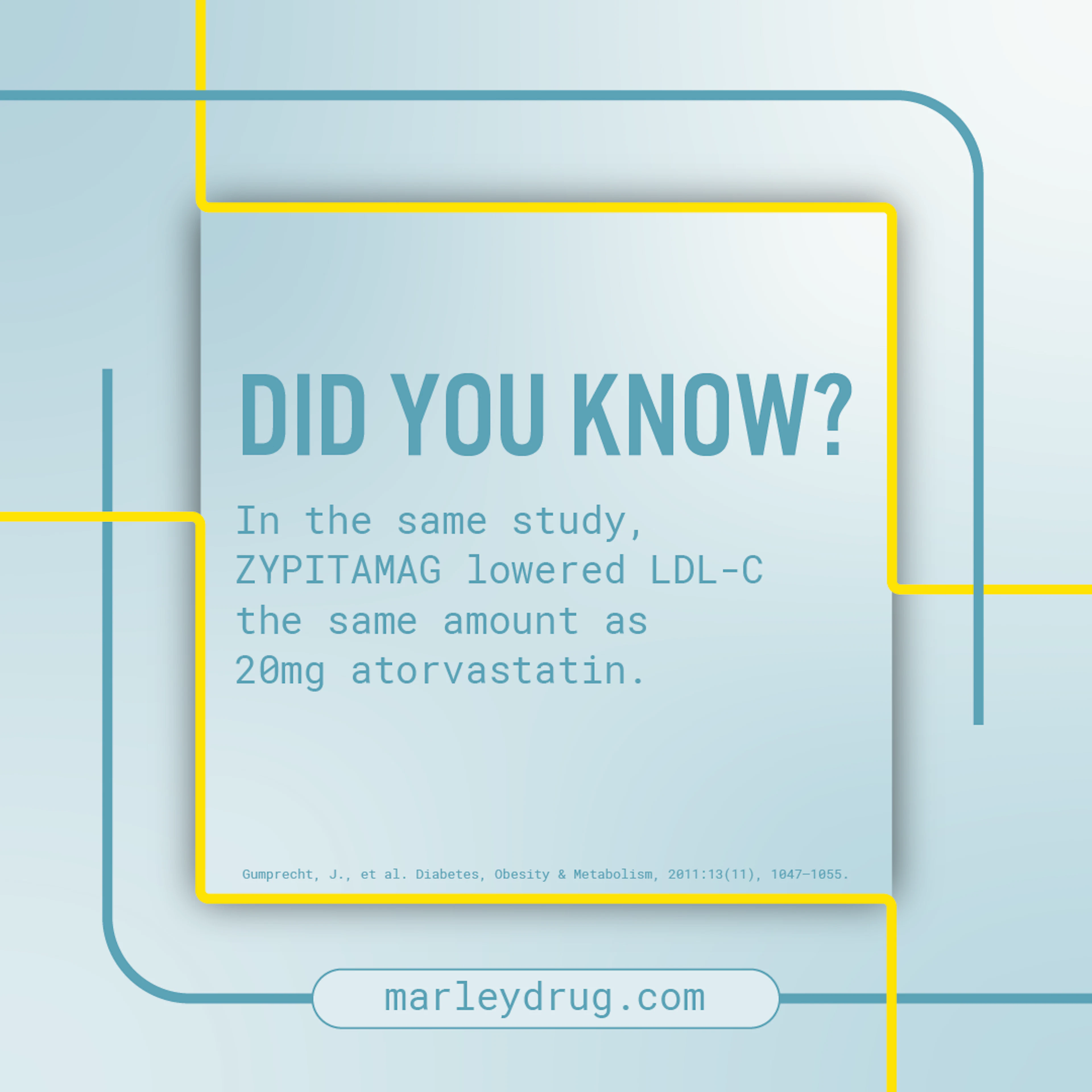 Did You Know Group 1 4
