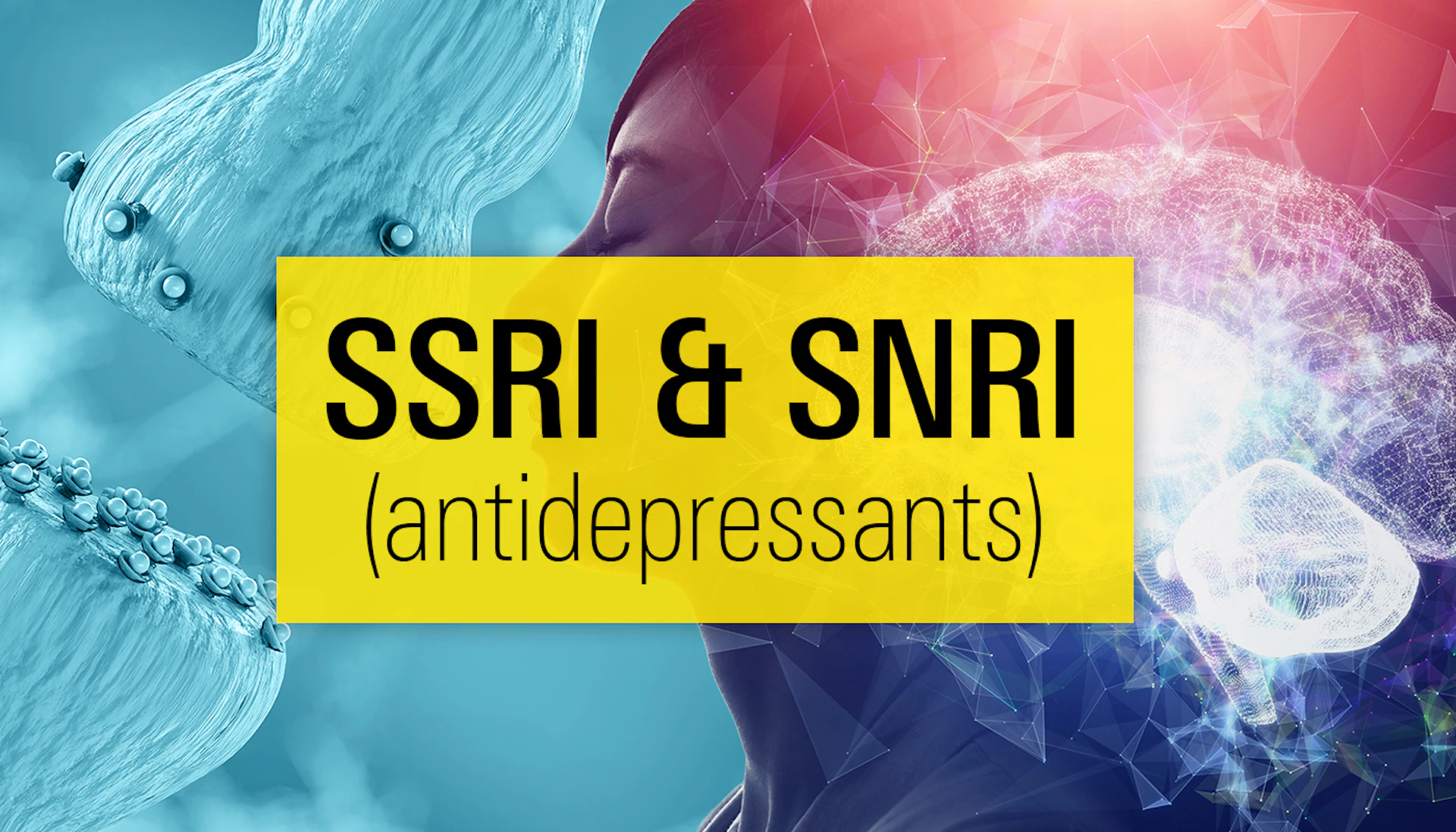 Bl Ssri Vs Snri Hero