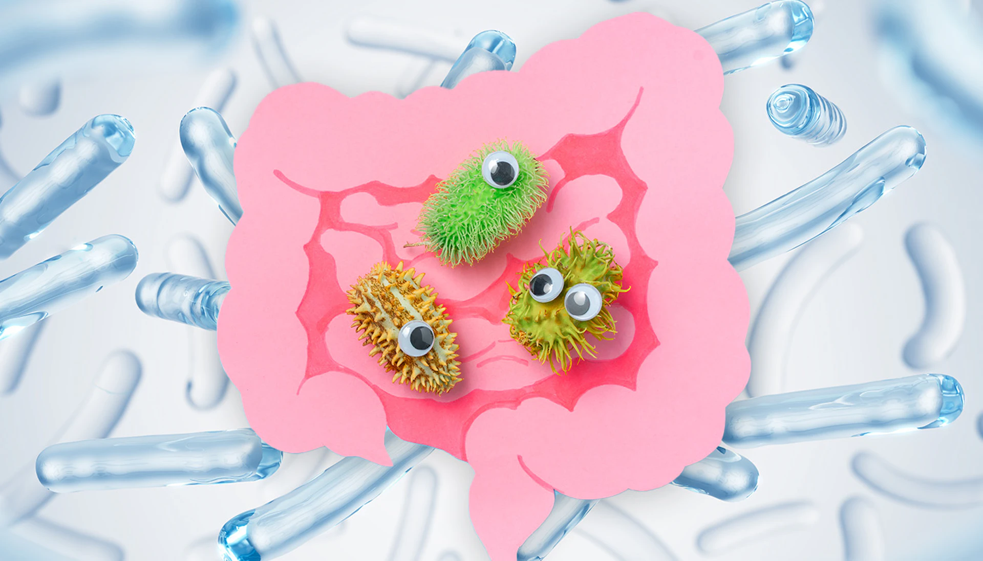 Probiotics Vs Prebiotics