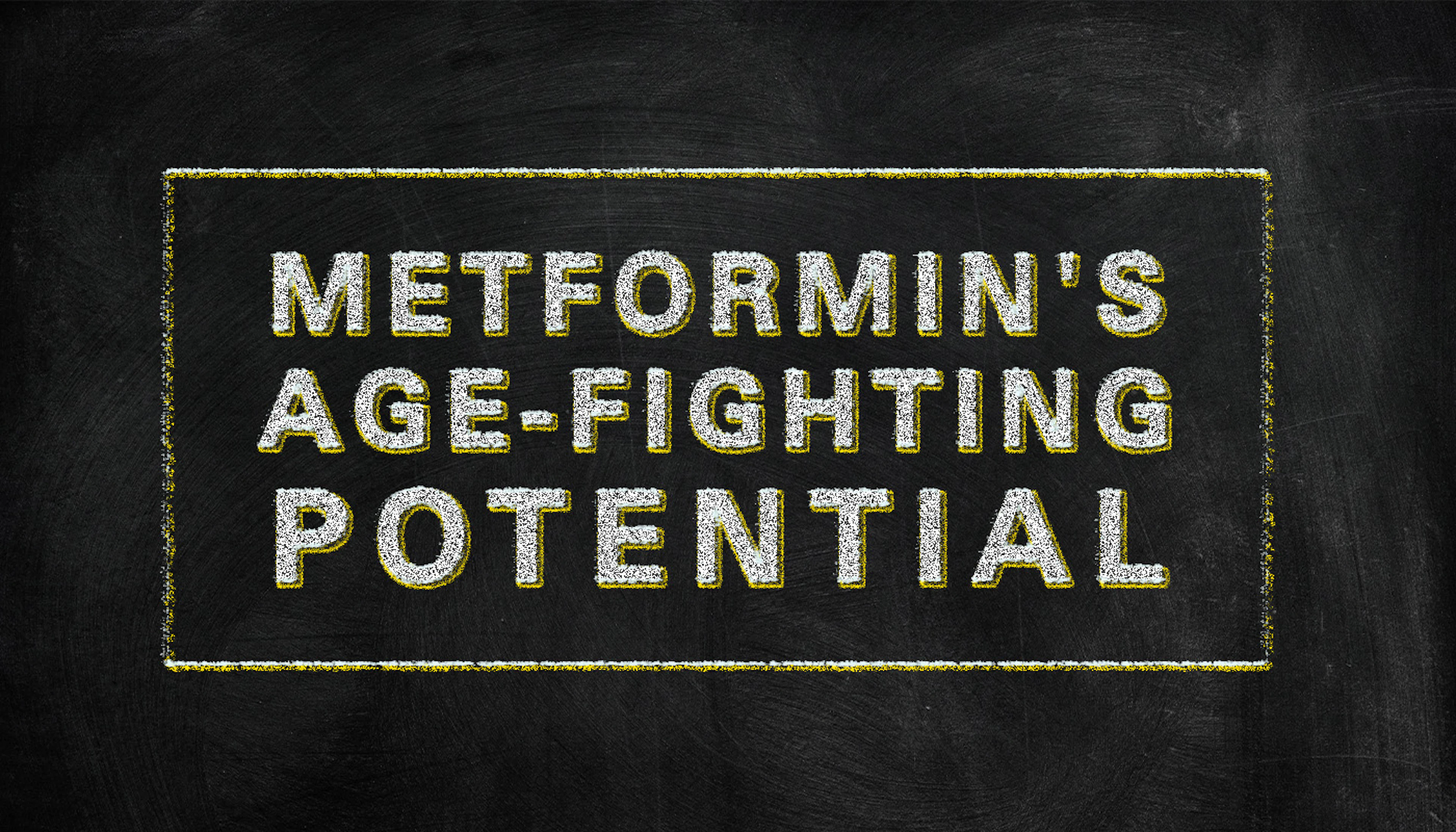 Metformin And Antiaging
