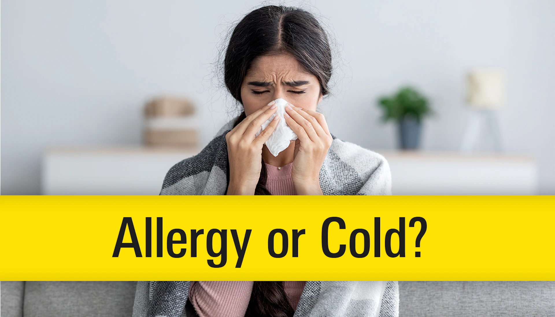 Bl Allergy Or Cold Hero
