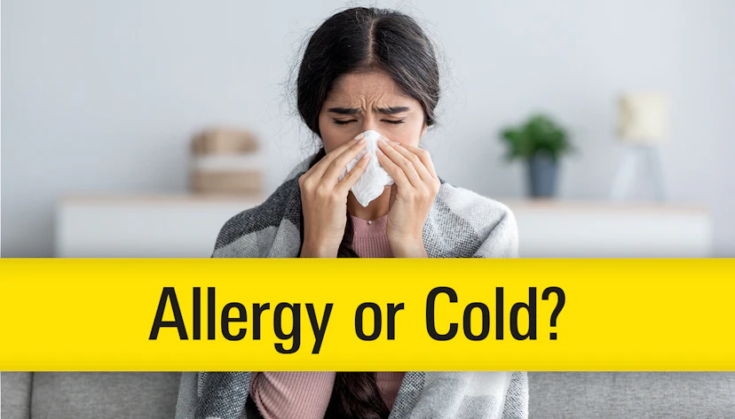 Bl Allergy Or Cold Hero