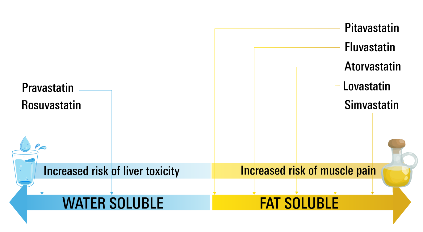 Statin Solubility
