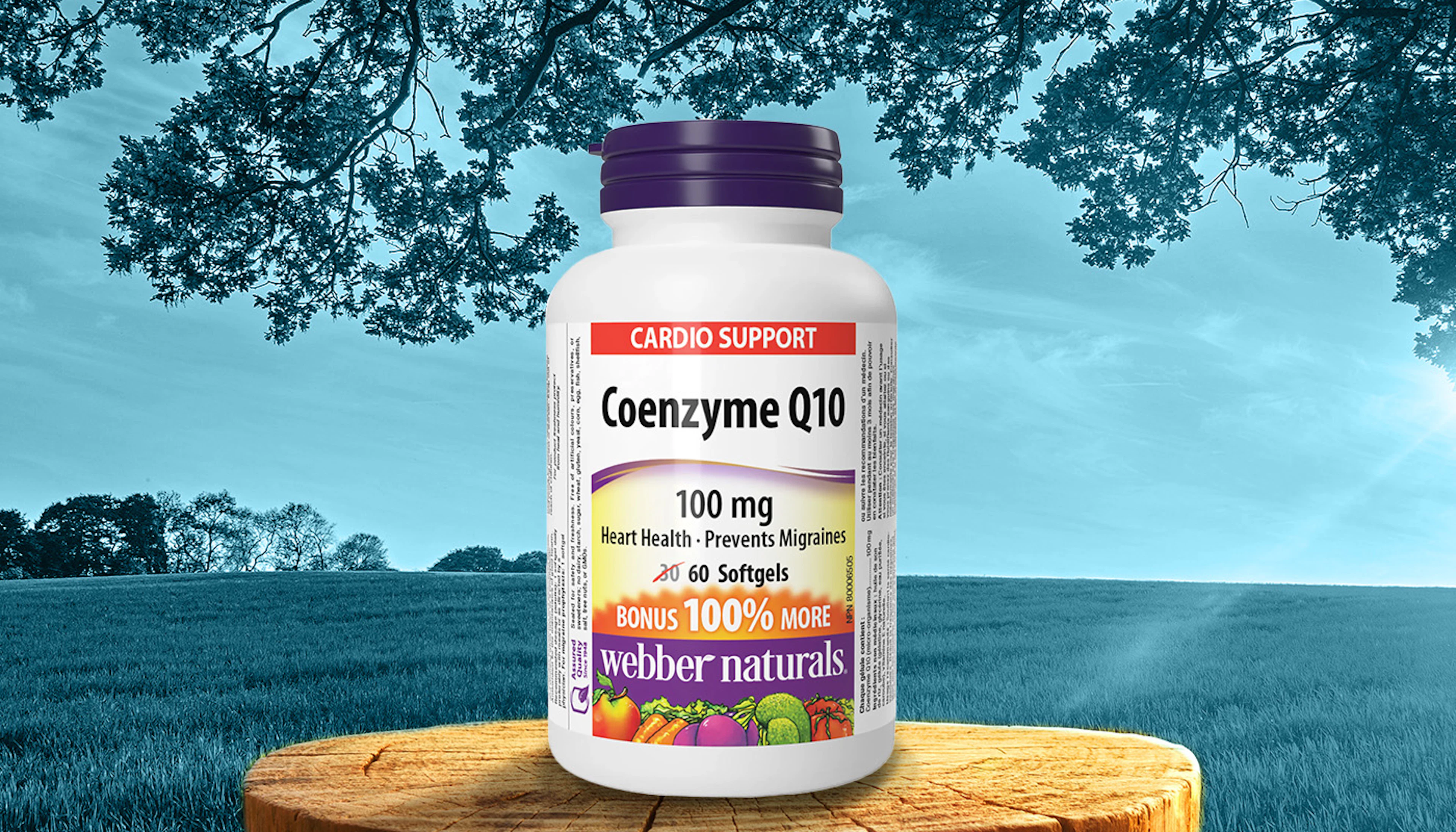 Coq10