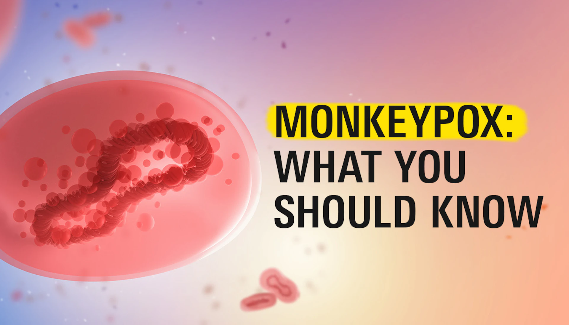 Bl Monkeypox Hero