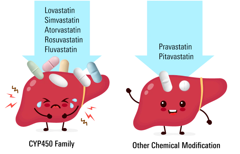 Statin Metabolism