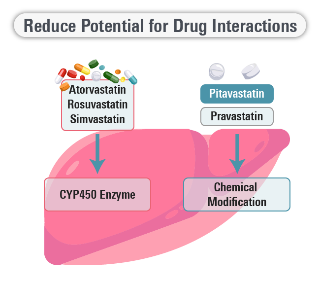 Statin Comparison Drug Interactions